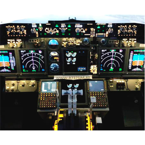 Venha Pilotar um Airbus A32...a em Simulador de Voo | Segunda a Sexta-feira | 2h