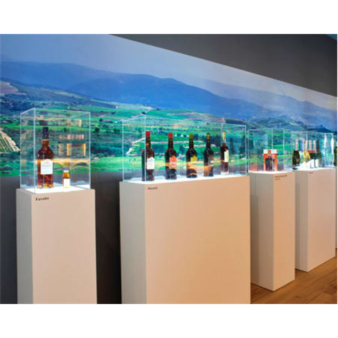 Visita Guiada + Prova de Mo... Clássico & Moscatel 10 Anos c/ Queijo | 2 Pessoa