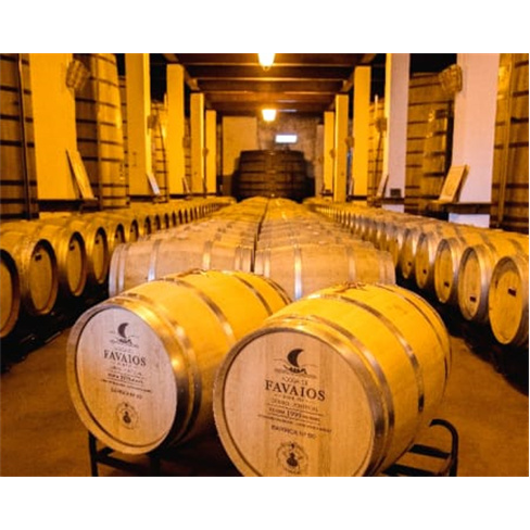 Visita Guiada + Prova de Mo... Clássico & Moscatel 10 Anos c/ Queijo | 2 Pessoa