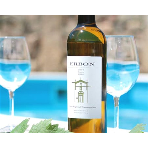 Explora a Vinha e Adega + Prova de Vinho a Dois | Casa Seixo (55 caracteres)