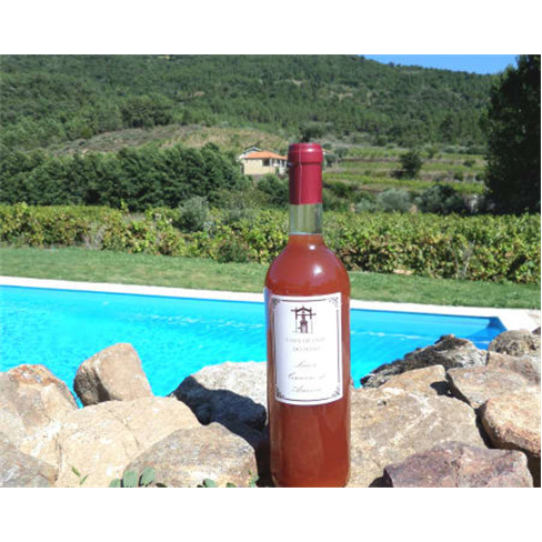 Explora a Vinha e Adega + Prova de Vinho a Dois | Casa Seixo (55 caracteres)