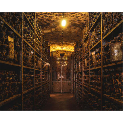 Visita e Prova de Vinhos nas Caves da Real Companhia Velha | Vila Nova de Gaia V