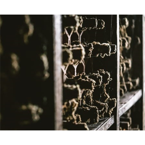 Visita e Prova de Vinhos na...elha | Vila Nova de Gaia Visita Premium | 1 Pessoa