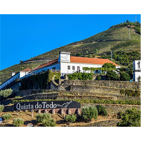 Tour no Douro para Dois com Prova de Vinhos e Visita ao Pinhão | 2 Horas