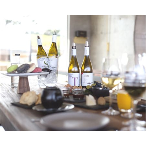 Visita à Propriedade + Prova de Vinhos para Dois | 1 Hora | Adega Mãe - Torres