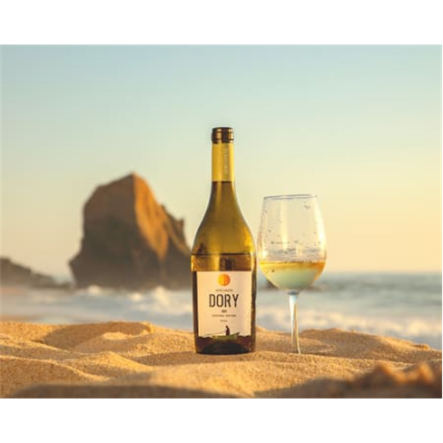 Visita à Propriedade + Prova de Vinhos para Dois | 1 Hora | Adega Mãe - Torres
