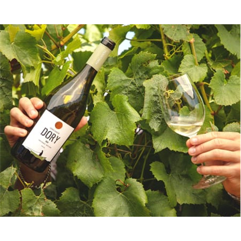 Visita à Propriedade + Prova de Vinhos para Dois | 1 Hora | Adega Mãe - Torres