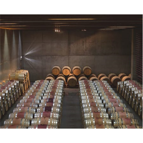 Visita à Propriedade + Prova de Vinhos para Dois | 1 Hora | Adega Mãe - Torres