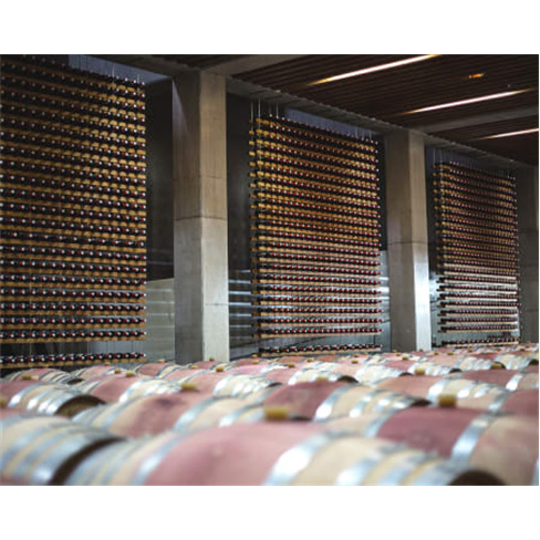 Visita à Propriedade + Prova de Vinhos para Dois | 1 Hora | Adega Mãe - Torres
