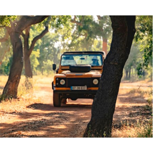Jeep Safari Tour Privado pa...o em Família! Albufeira Jeep Safari Tour | 7 Hora