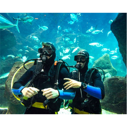 Mergulho nas Piscinas Naturais de Porto Moniz e Aquário da Madeira com Visita G