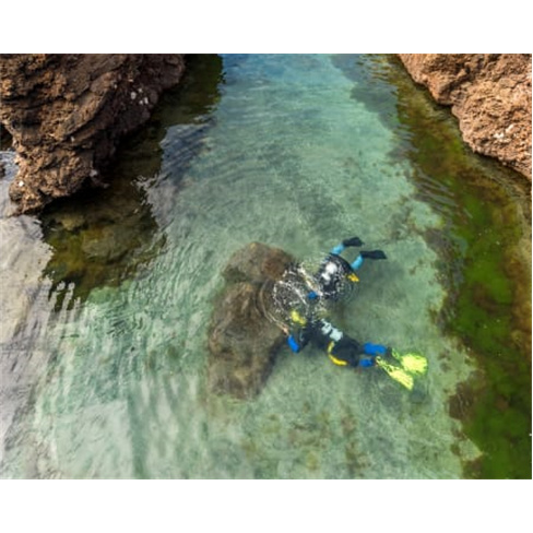 Baptismo de Mergulho nas Pi... Moniz | 2h30 | Madeira Experiência para 2 Pesso