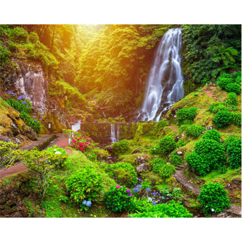Canyoning na Ribeira dos Caldeirões | Picos de Aventura - Ponta Delgada Experi