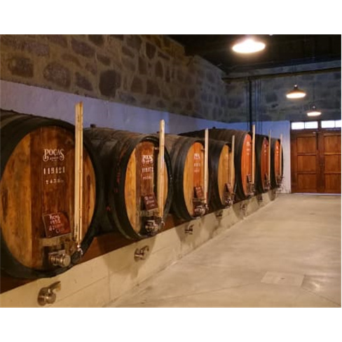 Visita Guiada & Prova de Vinhos Vegan | Caves Poças - Vila Nova de Gaia Experi