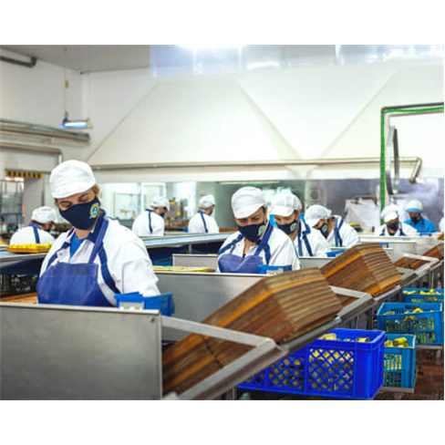 Visita à Fábrica de Conservas Portugal Norte com Degustação | Matosinhos Adu