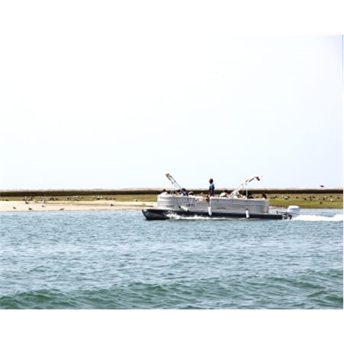 Passeio de Barco em Faro - 1 Hora | Descubra Uma das 7 Maravilhas Naturais de Po