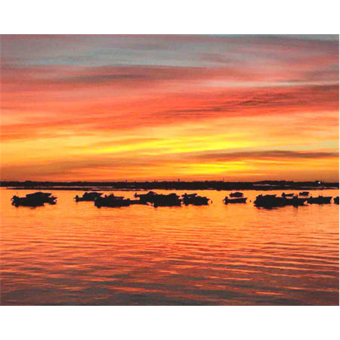 Passeio de Barco ao Pôr-do-Sol - Sunset Mágico na Ria Formosa!