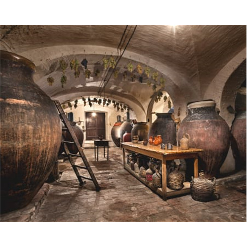 Visita à Adega com Prova de Vinhos de Talha para Dois | 1h30 | Gerações da Ta
