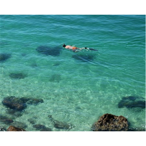 Snorkeling a Dois na Arrábida | 2 Horas | Experiência de Sonho! Into the Natur