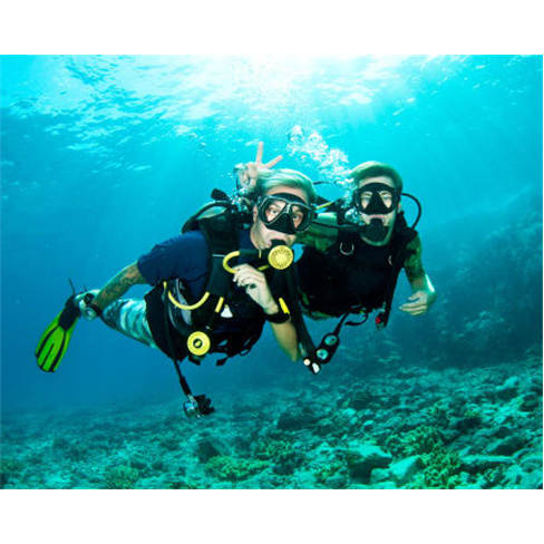 Mergulho de Mar nas Berlengas «Try Scuba Sea» | 4 Horas | JustDive Experiênci