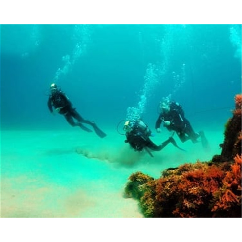 Mergulho de Mar nas Berlengas «Try Scuba Sea» | 4 Horas | JustDive Experiênci
