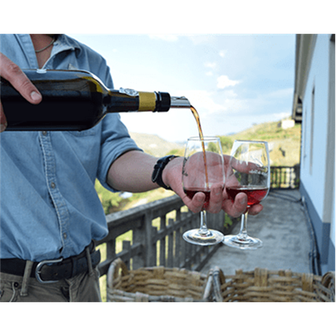 Tour no Douro para Dois com Prova de Vinhos e Visita ao Pinhão | 2 Horas