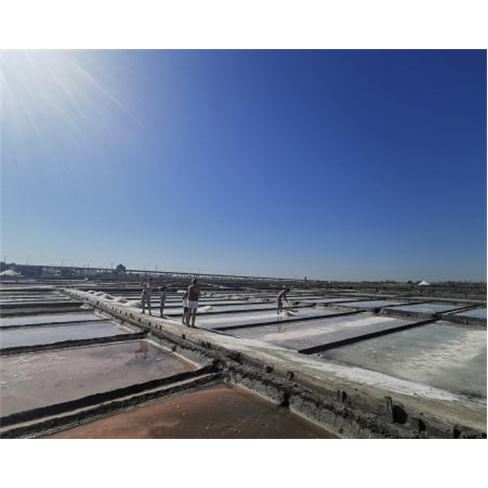 Passeio de Moliceiro ou Mercantel na Ria de Aveiro + Visita Guiada às Salinas |