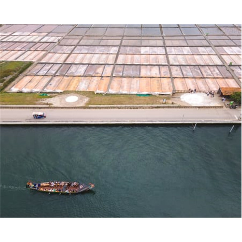 Passeio de Moliceiro ou Mercantel na Ria de Aveiro + Visita Guiada às Salinas |