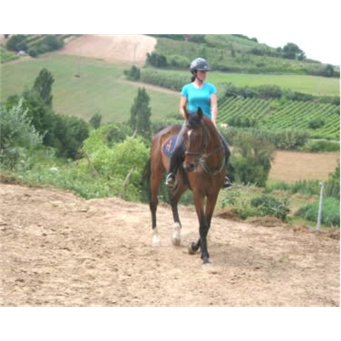 Passeio Romântico a Cavalo com Prova de Vinhos & Licores a Dois | Alenquer Pass