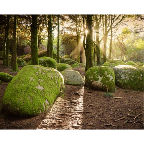 Passeio de Jipe em Sintra ou Arrábida a Dois | 4 Horas | Into The Nature Passei