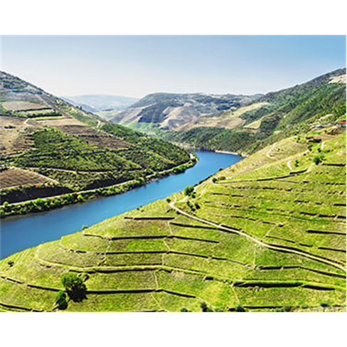 Tour no Douro para Dois com Prova de Vinhos e Visita ao Pinhão | 2 Horas