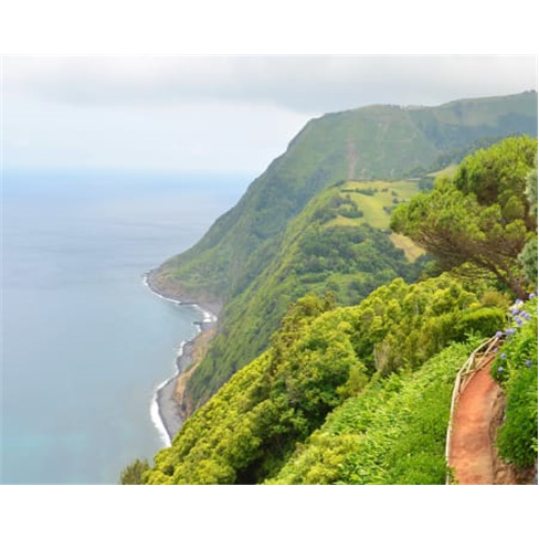 Observação de Baleias & Gol...ventura - Ponta Delgada Experiência para 2 Pess
