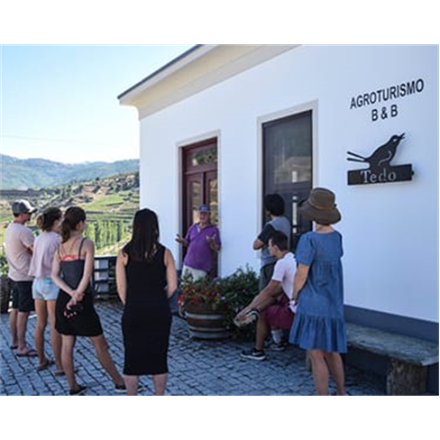 Tour no Douro para Dois com Prova de Vinhos e Visita ao Pinhão | 2 Horas
