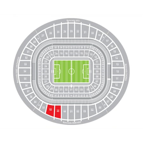 Sport Lisboa e Benfica | Bilhetes para Jogo no Estádio da Luz + Cachecóis
