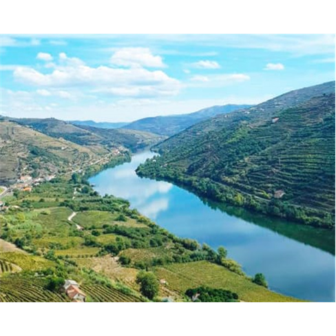 Imaginário d'El-Rei - Mesão...nha com Piscina Infinita no Vale do Douro 2 Noi