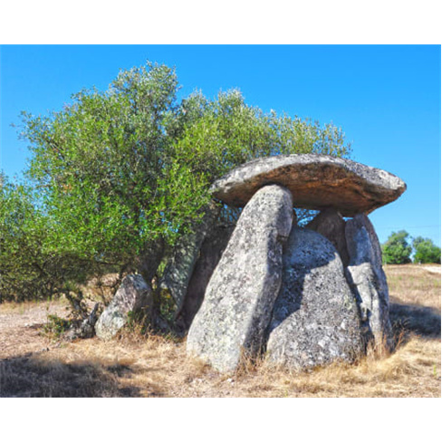 Museu Interactivo do Megali...ao Património Megalítico de Mora Entrada de Adul