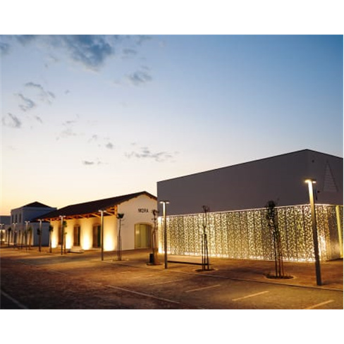 Museu Interactivo do Megali...ao Património Megalítico de Mora Entrada de Adul