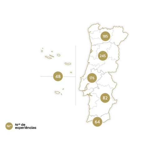 Natal Mágico | 1400 Experiências