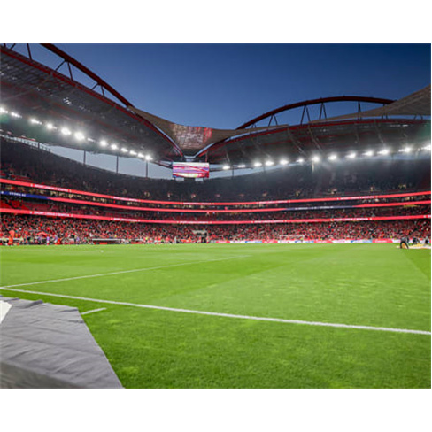 Sport Lisboa e Benfica | Bilhetes para Jogo no Estádio da Luz + Cachecóis