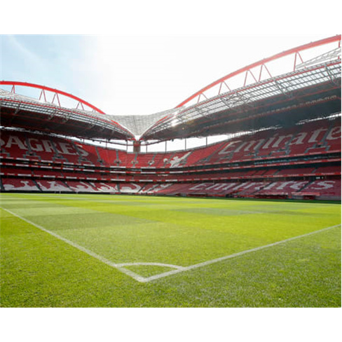 SL Benfica | Estádio & Museu + Luz by Chakall
