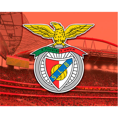 Sport Lisboa e Benfica | Bilhetes para Jogo no Estádio da Luz + Cachecóis