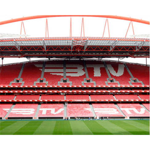 SLB | Tour ao Estádio & Museu + Cachecóis