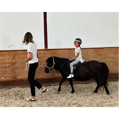 Passeio de Pónei ou Baptismo a Cavalo em Alter do Chão | Perfect Moments Passe