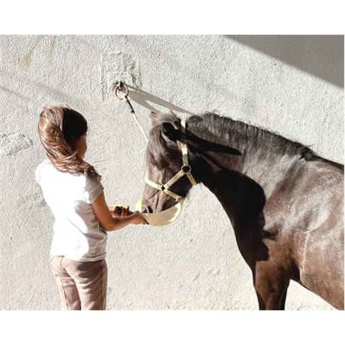 Passeio de Pónei ou Baptismo a Cavalo em Alter do Chão | Perfect Moments Passe