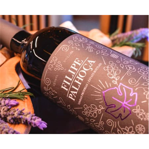 Visita às Vinhas e Adega + Prova de Vinhos para Dois | Filipe Palhoça Vinhos -