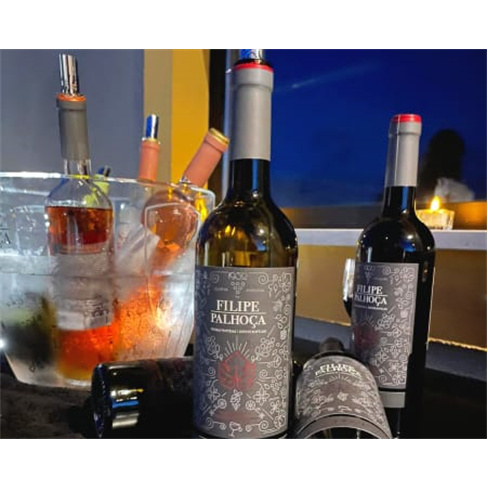 Visita às Vinhas e Adega + Prova de Vinhos para Dois | Filipe Palhoça Vinhos -
