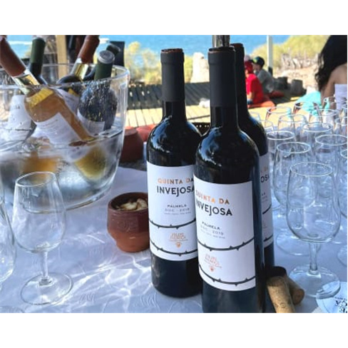 Visita às Vinhas e Adega + Prova de Vinhos para Dois | Filipe Palhoça Vinhos -