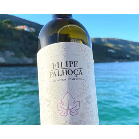 Visita às Vinhas e Adega + Prova de Vinhos para Dois | Filipe Palhoça Vinhos -