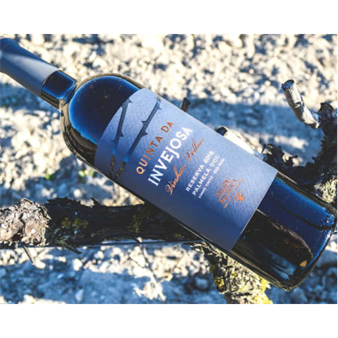 Visita às Vinhas e Adega + Prova de Vinhos para Dois | Filipe Palhoça Vinhos -