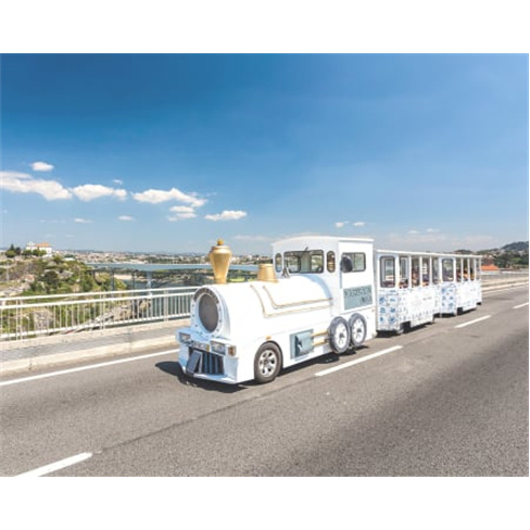 Passeio Magic Train + Cruzeiro das 6 Pontes do Douro + Visita às Caves de Gaia